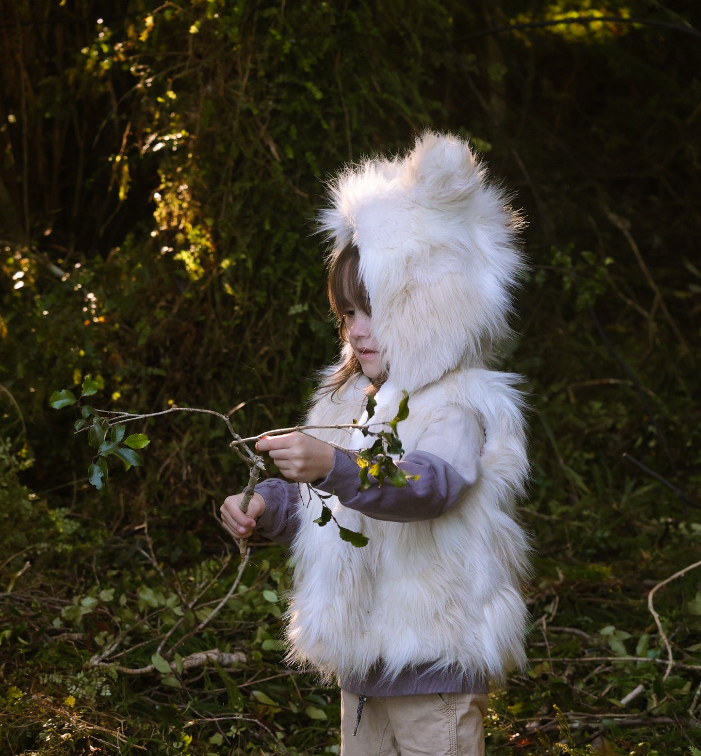 
                  
                    Tibetan Wolf Vest - Faux Fur
                  
                