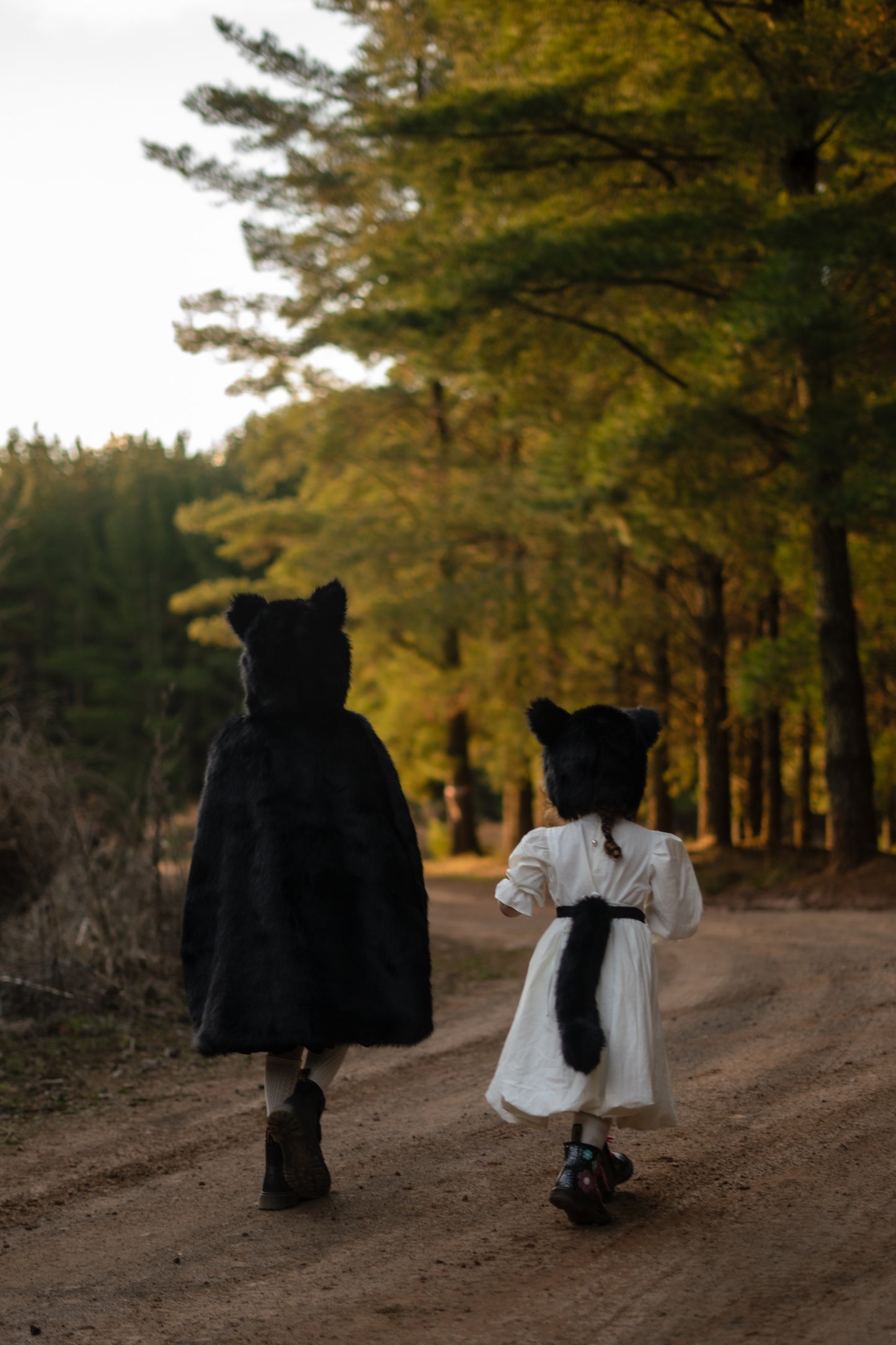 
                  
                    Black Cat Cape
                  
                